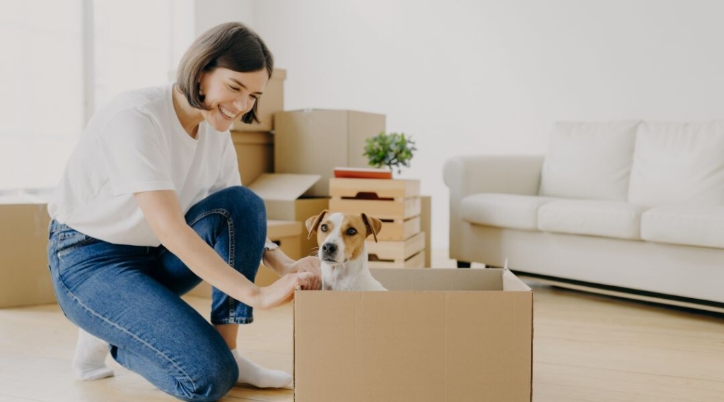 Should You Allow Tenants with Pets in Your Rental Property? 